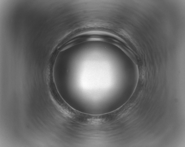 X0000071330448200606301605