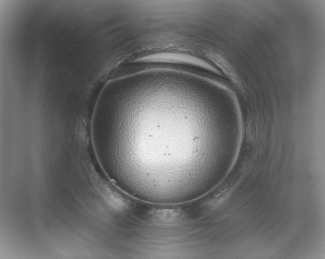 X0000071330449200606301605