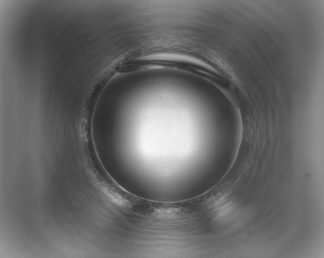 X0000071330450200606301605