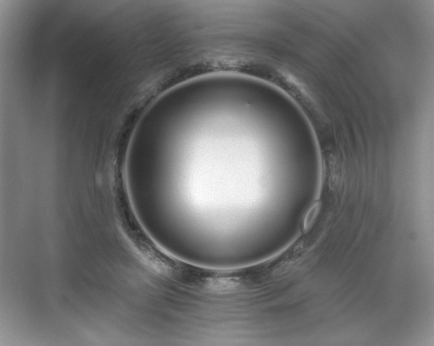 X0000071330451200606301605