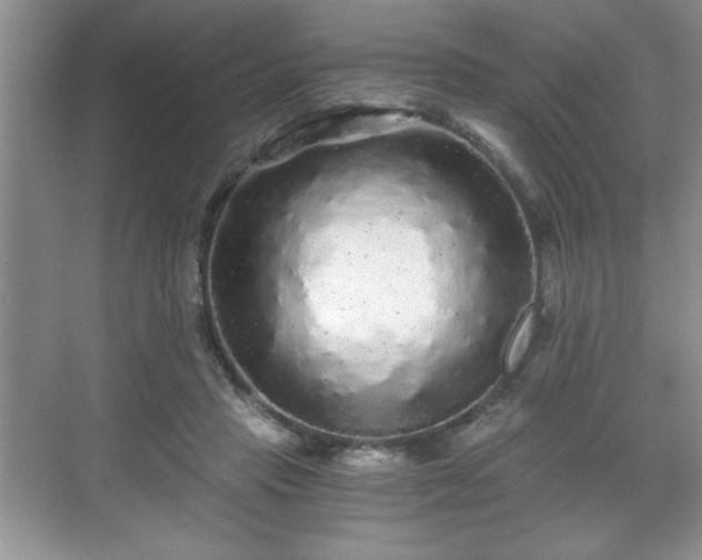 X0000071330453200606301605