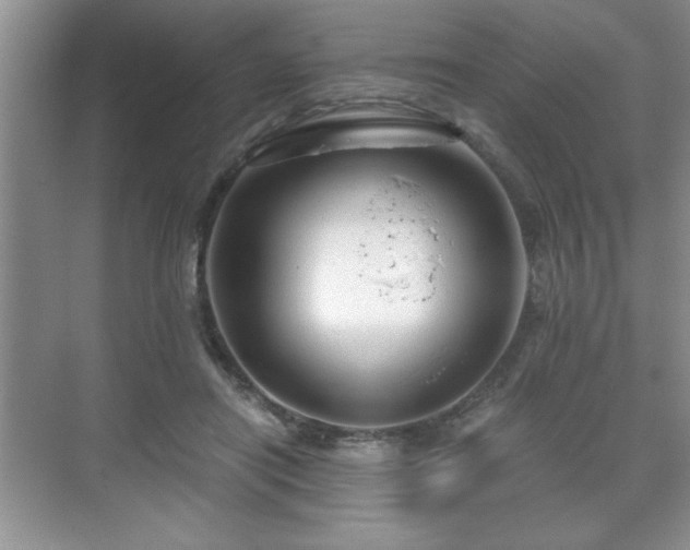 X0000071330454200606301605