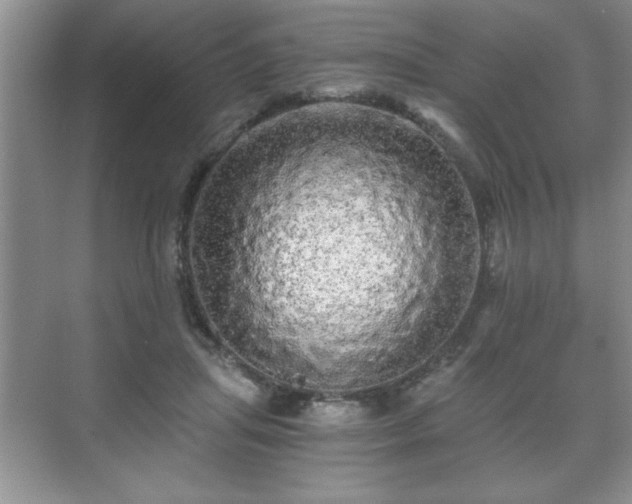 X0000071330455200606301605