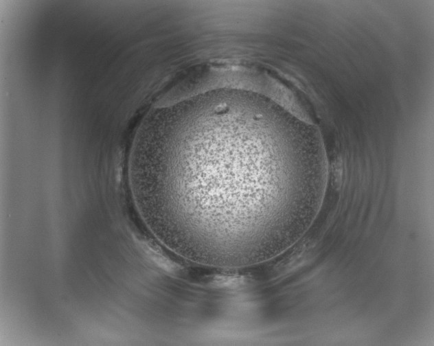 X0000071330458200606301605