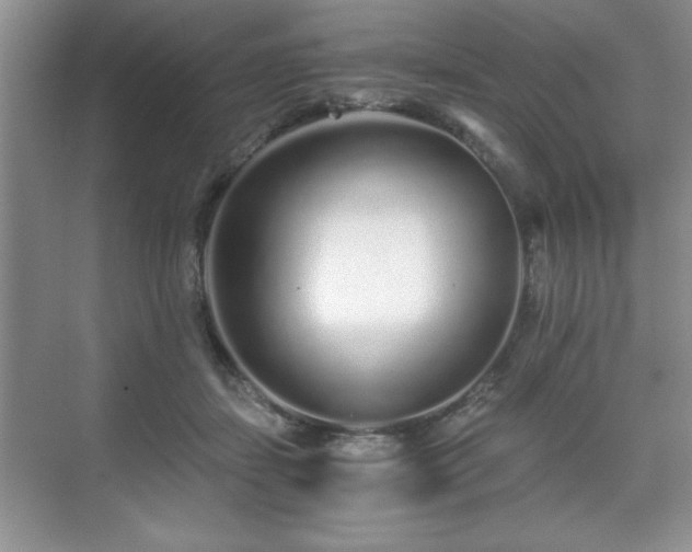 X0000071330459200606301605