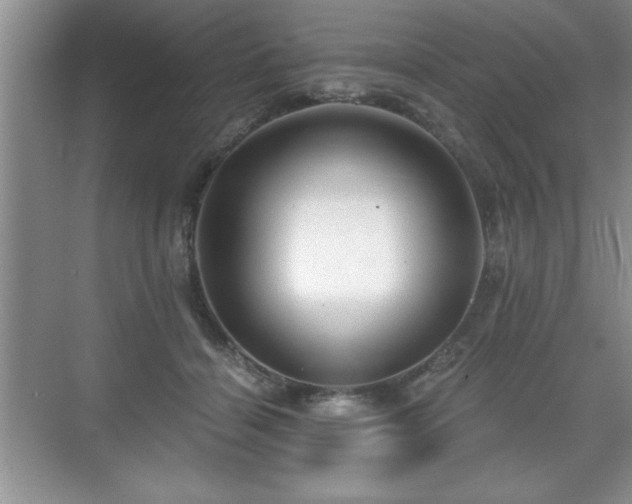 X0000071330460200606301605