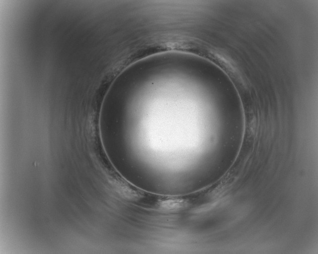 X0000071330461200606301605