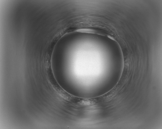 X0000071330464200606301605