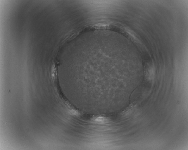 X0000071330467200606301605