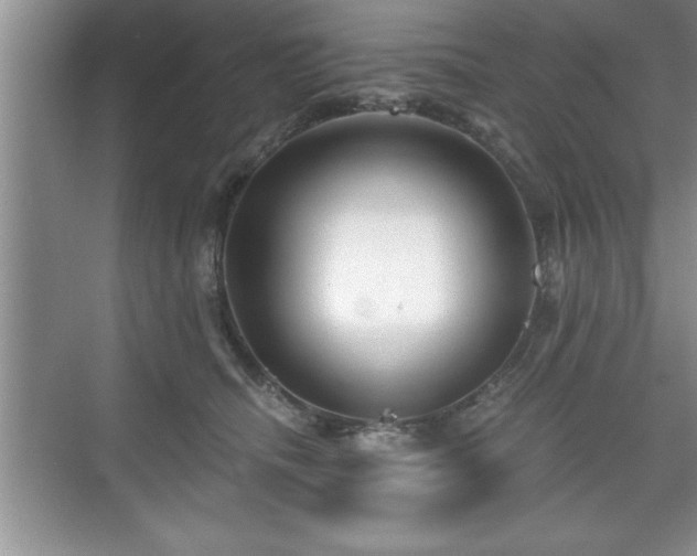 X0000071330468200606301605