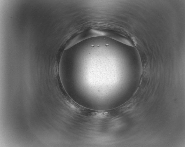 X0000071330474200606301605