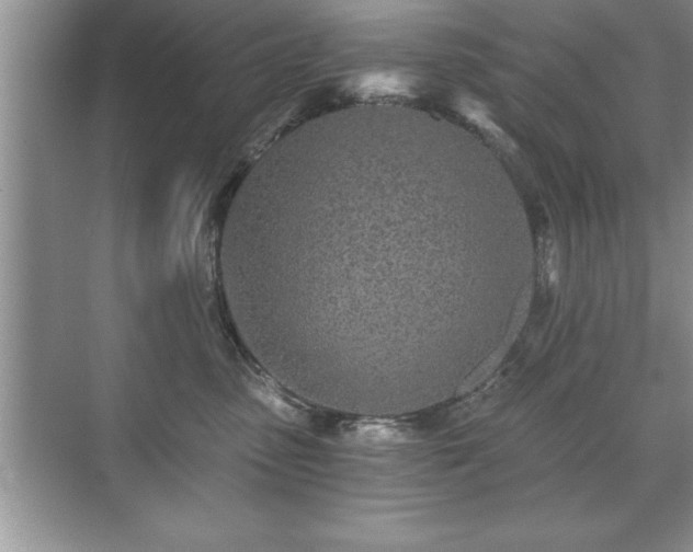 X0000071330475200606301605