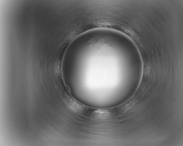 X0000071330477200606301605