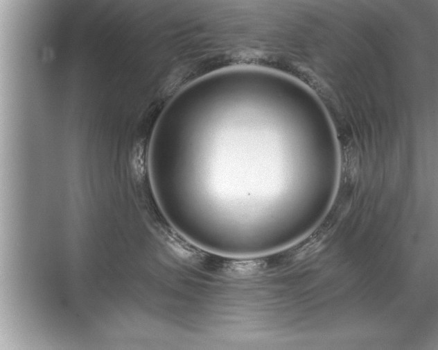 X0000071330479200606301605