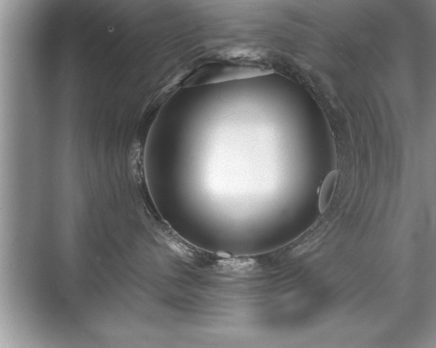 X0000071330480200606301605