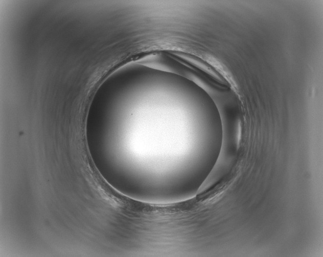 X0000071330481200606301604