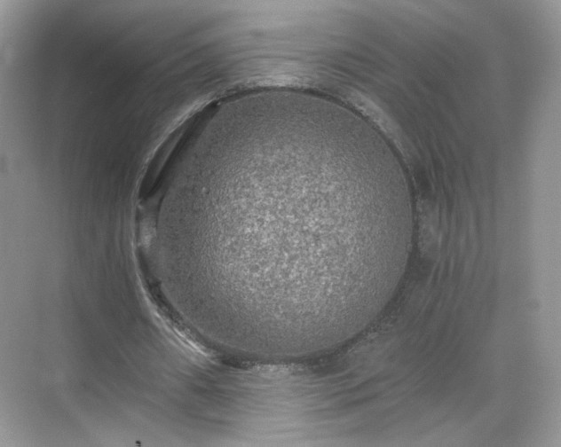 X0000071330482200606301604