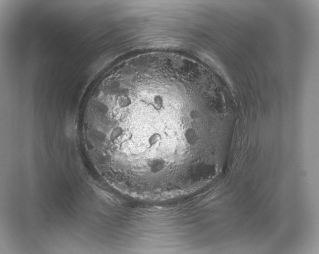 X0000071330483200606301604