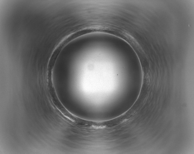 X0000071330484200606301604