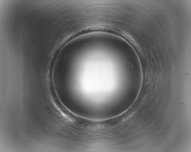 X0000071330485200606301604