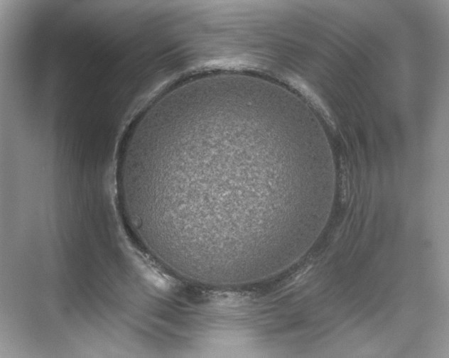 X0000071330486200606301604