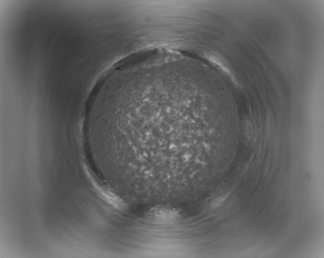 X0000071330491200606301604