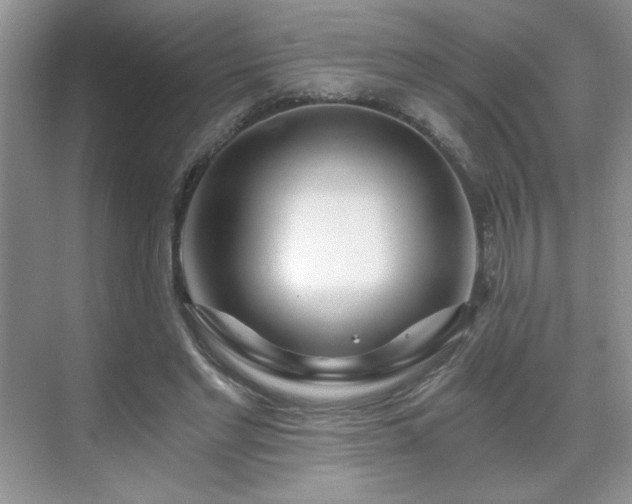 X0000071330493200606301604