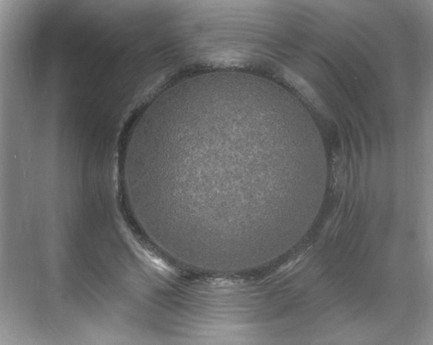 X0000071330494200606301604