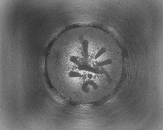 X0000071330495200606301604