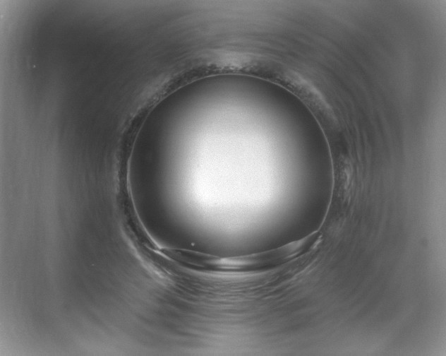 X0000071330496200606301604