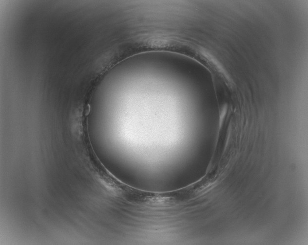 X0000071330497200606301604