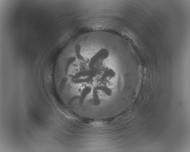 X0000071330499200606301604