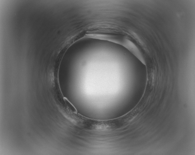 X0000071330500200606301604