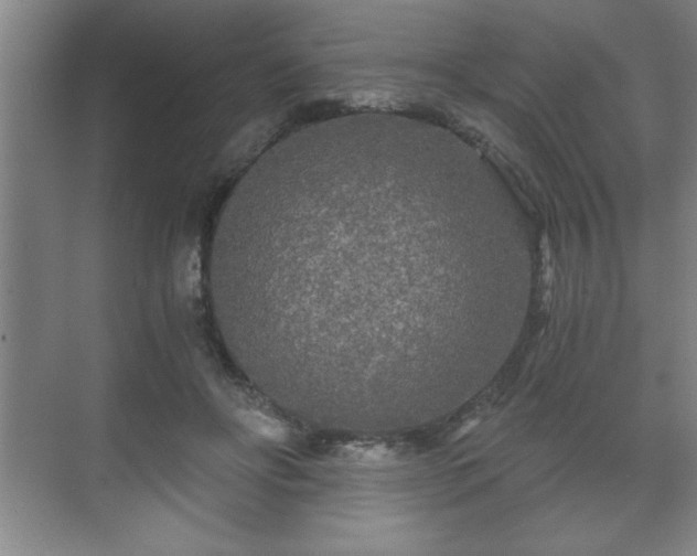 X0000071330502200606301604