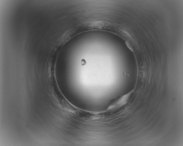 X0000071330504200606301604