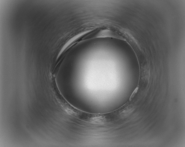 X0000071330505200606301604