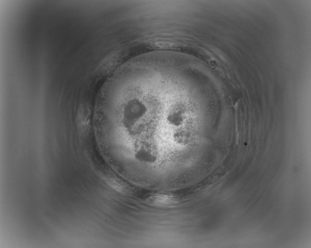 X0000071330507200606301604