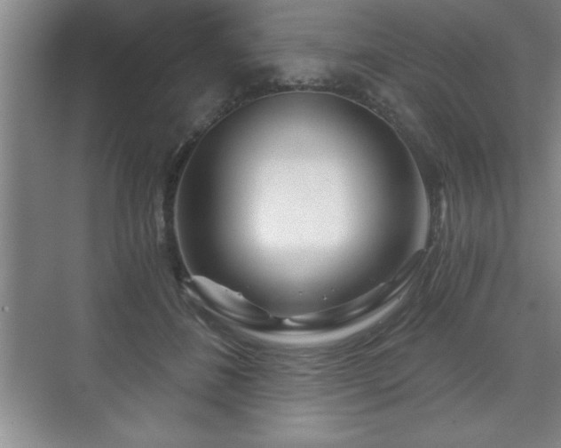 X0000071330508200606301604