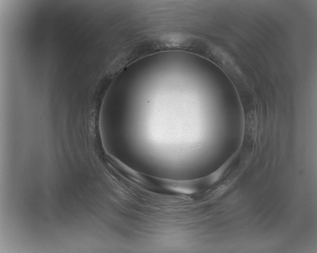 X0000071330509200606301604