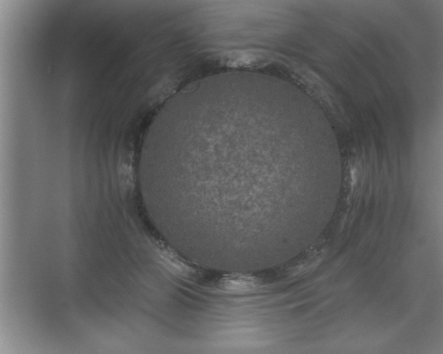 X0000071330510200606301604