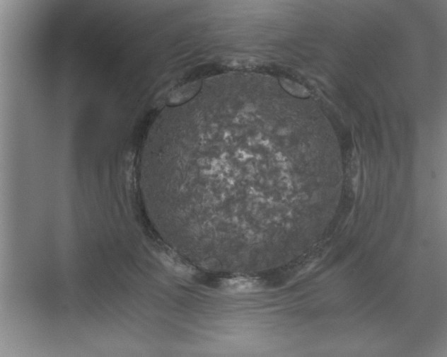 X0000071330511200606301604