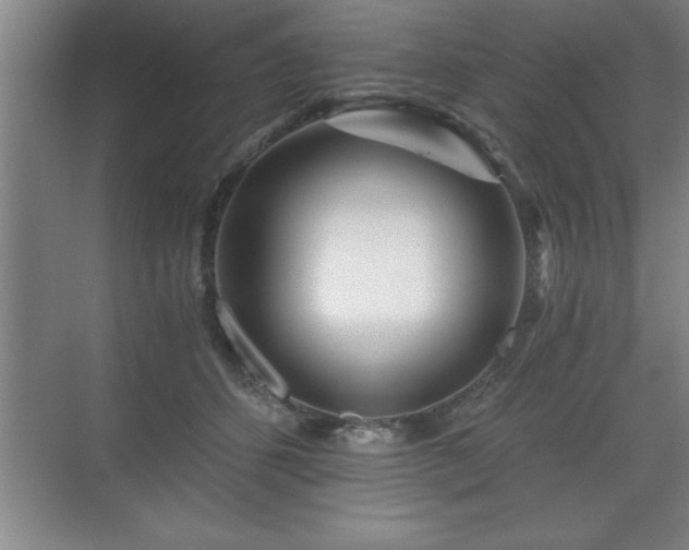 X0000071330512200606301604