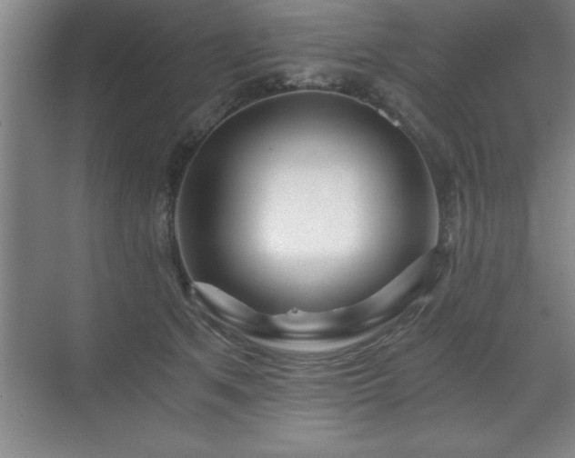 X0000071330513200606301604