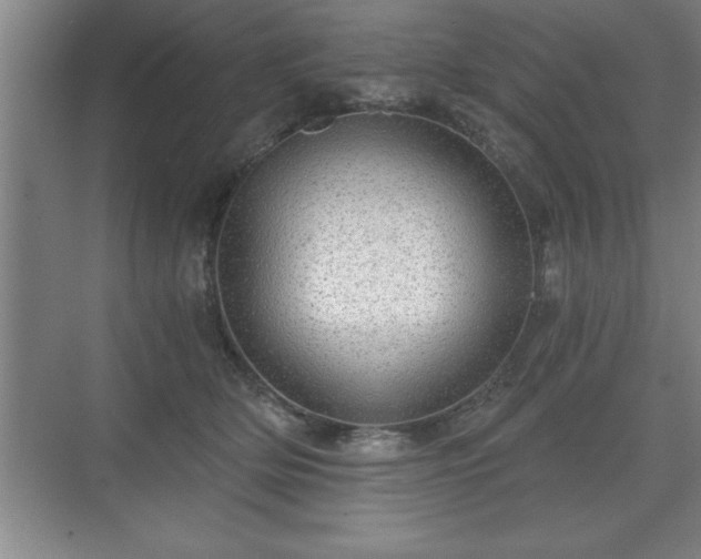 X0000071330514200606301604