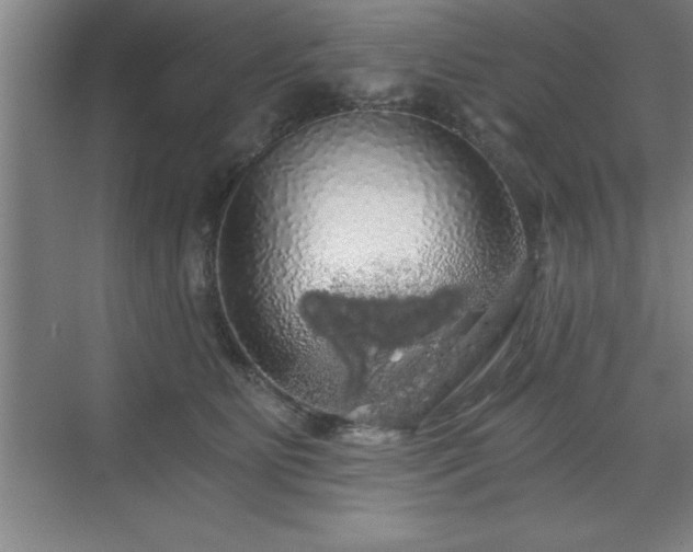 X0000071330515200606301604