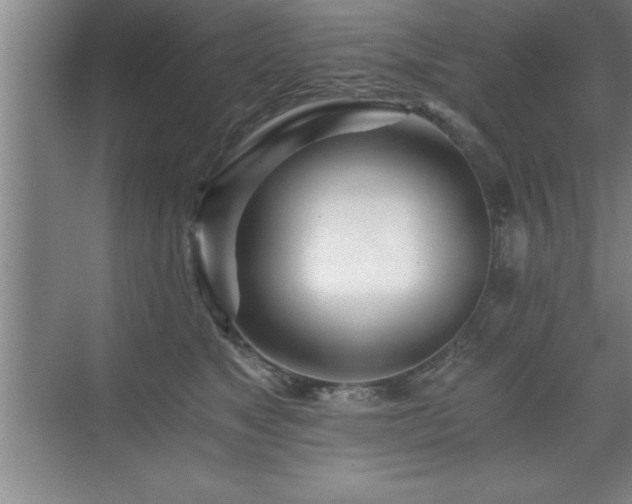 X0000071330517200606301604