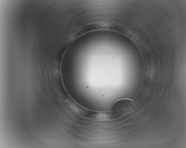 X0000071330518200606301604