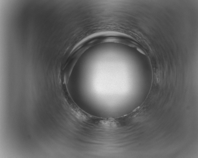 X0000071330520200606301604