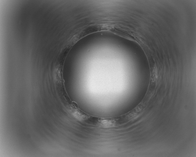 X0000071330522200606301604