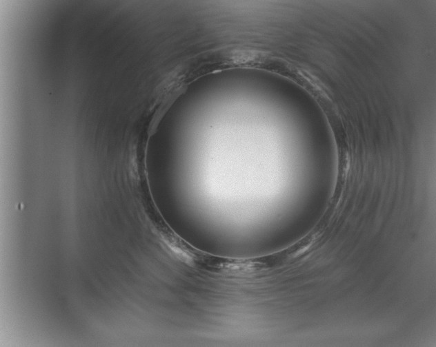 X0000071330524200606301604